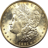 1891 Morgan Silver Dollar