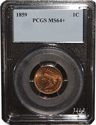 Slabbed Coin